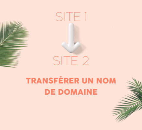 avoir un nom de domaine transférable