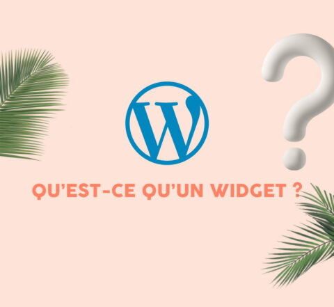 qu'est-ce qu'un widget wordpress
